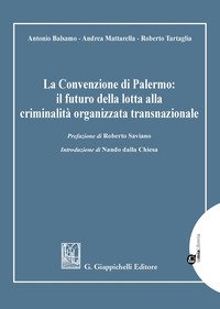La Convenzione di Palermo: il futuro della lotta alla criminalità organizzata transnazionale