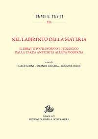 Nel labirinto della materia. Il dibattito filosofico e teologico dalla tarda antichità all'età moderna
