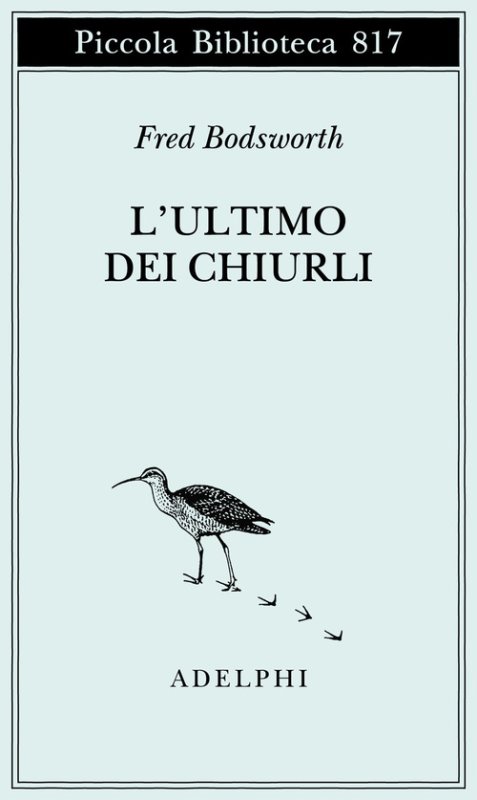 L'ultimo dei chiurli