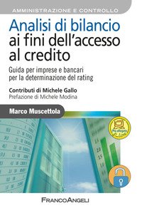 Analisi di bilancio ai fini dell'accesso al credito. Guida per imprese e bancari per la determinazione del rating