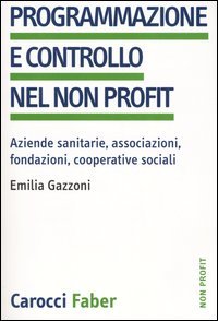 Programmazione e controllo nel non profit