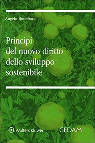 Principi del nuovo diritto dello sviluppo sostenibile