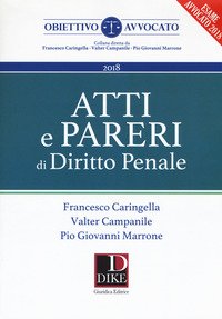 Atti e pareri di diritto penale 2018
