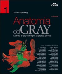 Anatomia del Gray. Le basi anatomiche per la pratica clinica