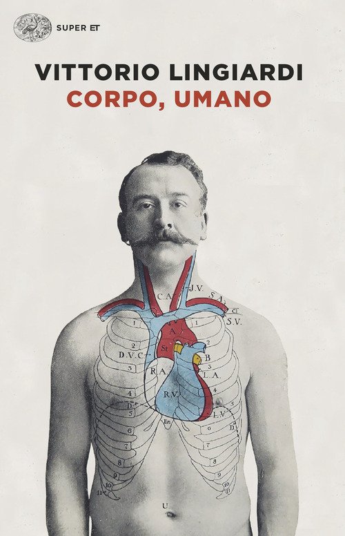 Corpo, umano