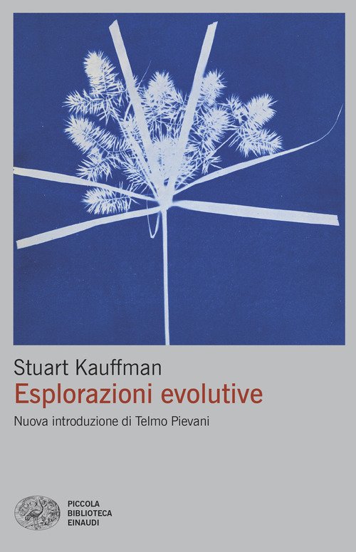 Esplorazioni evolutive