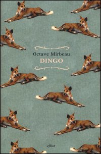 Dingo