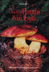 Novecento E La Resistenza (il)