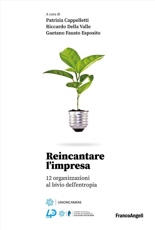 Reincantare l'impresa. 12 organizzazioni al bivio dell'entropia