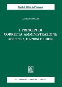 I principi di corretta amministrazione. Struttura, funzioni e rimedi