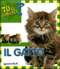 Il gatto