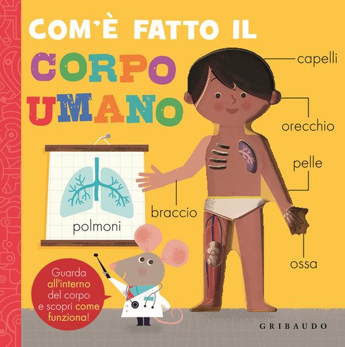 Com'è fatto il corpo umano