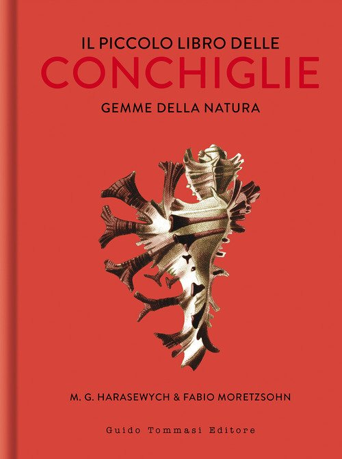 Il piccolo libro delle conchiglie. Gemme della natura