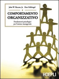 Comportamento organizzativo