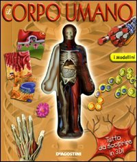 Il corpo umano