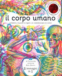 Il corpo umano. Scheletro, muscoli e organi: un caleidoscopio di colori