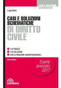 Casi e soluzioni schematiche di diritto civile