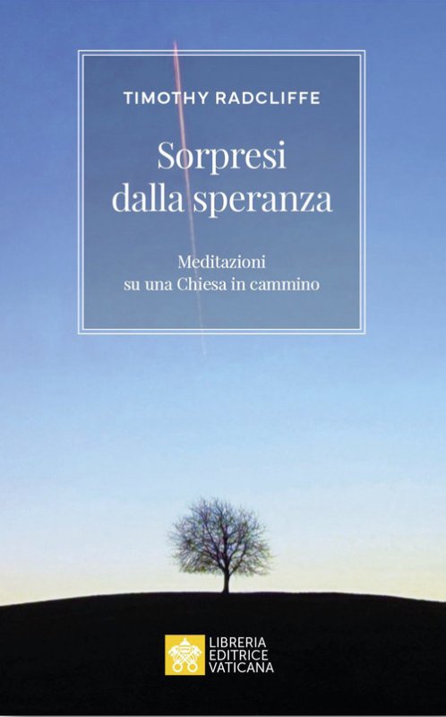 Sorpresi dalla speranza. Meditazioni su una Chiesa in cammino