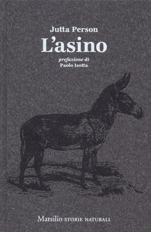 L'asino