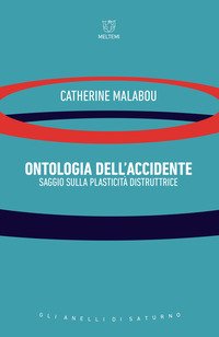Ontologia dell'accidente. Saggio sulla plasticità distruttrice