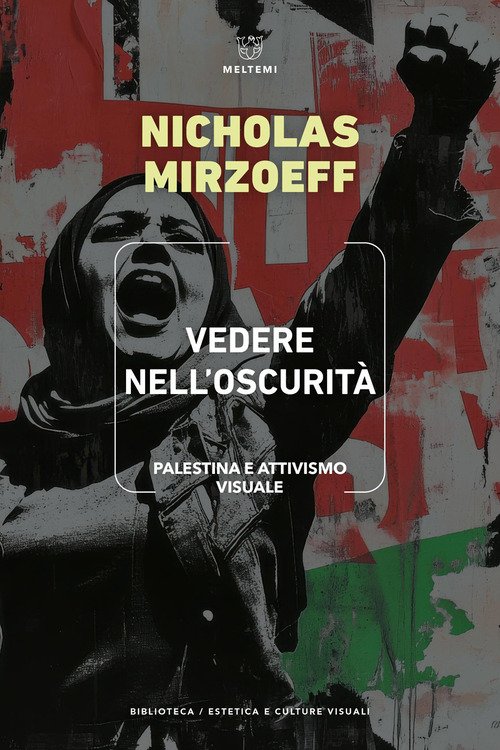 Vedere nell'oscurità. Palestina e attivismo visuale
