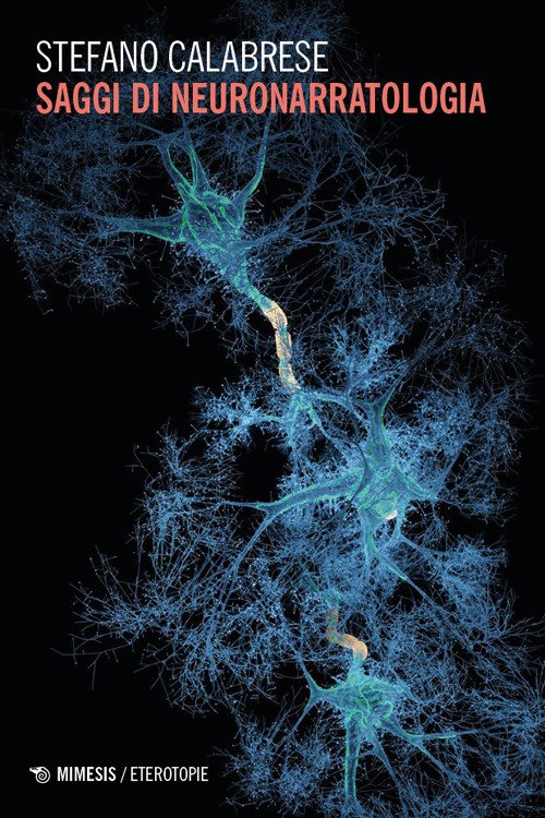 Saggi di neuronarratologia