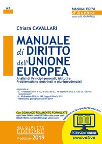 Manuale di diritto dell'Unione Europea. Analisi di principi generali, Istituti e problematiche dottrinali e giurisprudenziali