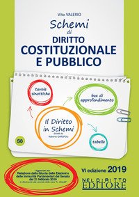 Schemi di diritto costituzionale e pubblico