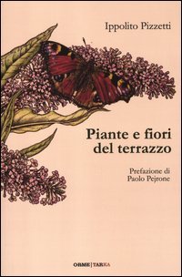 Piante e fiori del terrazzo