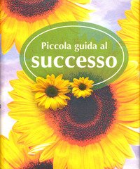 Piccola guida al successo