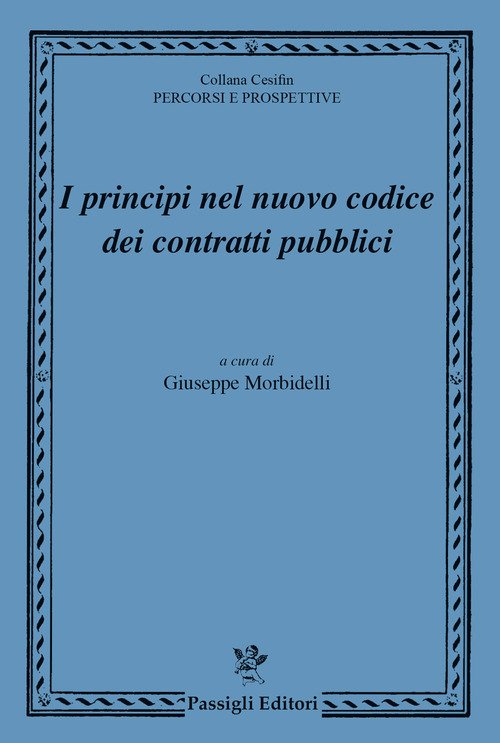 I principi nel nuovo codice dei contratti pubblici