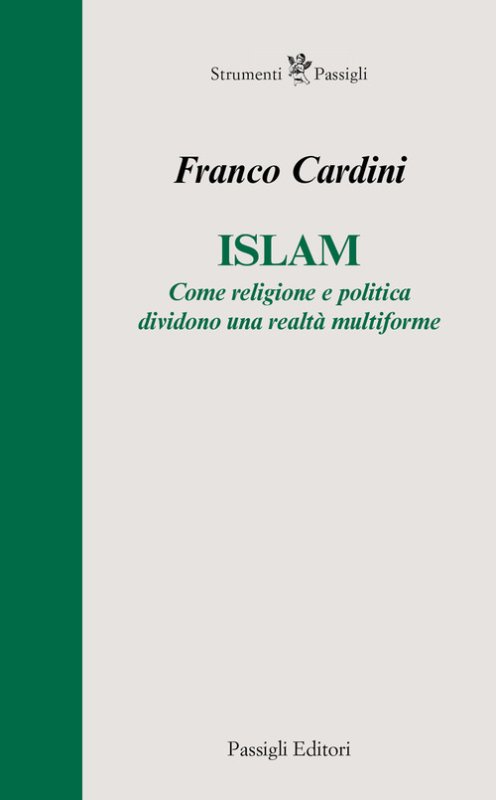 Islam. Come religione e politica dividono una realtà multiforme