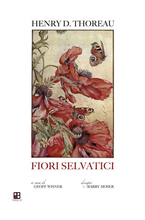 Fiori selvatici: escursioni botaniche e contemplazioni della natura