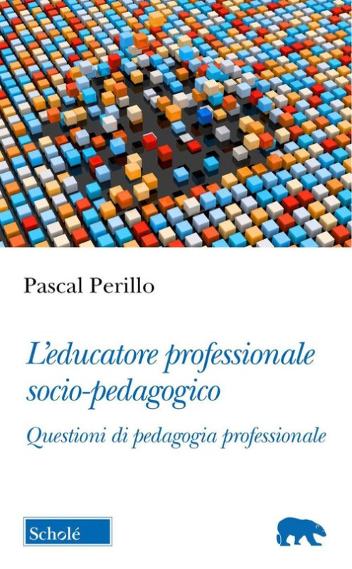 L'educatore professionale socio-pedagogico. Questioni di pedagogia professionale