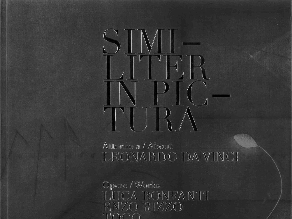 Similiter In Pictura