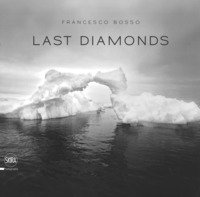 Last diamonds. Ediz. italiana e inglese