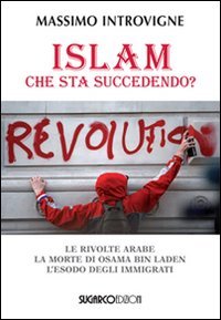 Islam. Che Sta Succedendo?