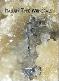 Italian type minerals. Ediz. inglese