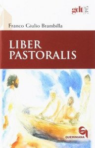 Liber pastoralis
