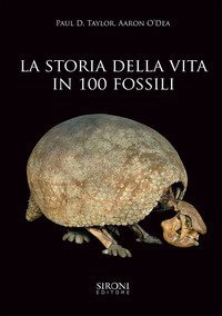 La storia della vita in 100 fossili