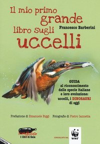 Il mio primo grande libro sugli uccelli. Guida al riconoscimento delle specie italiane e loro evoluzione: uccelli, i dinosauri di oggi