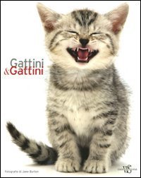 Gattini & gattini