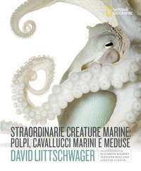 Straordinarie creature marine: polpi, cavallucci marini e meduse