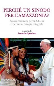Perch&eacute; un sinodo per l'Amazzonia? Nuovi cammini per la Chiesa e per una ecologia integrale