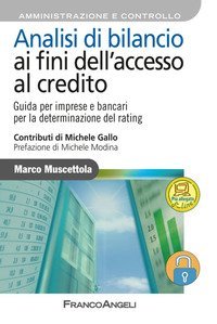 Analisi di bilancio ai fini dell'accesso al credito. Guida per imprese e bancari per la determinazione del rating