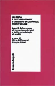 Qualit&agrave; e informazione statistico-economica territoriale. Aspetti del processo di formazione dei dati e delle metodologie di analisi