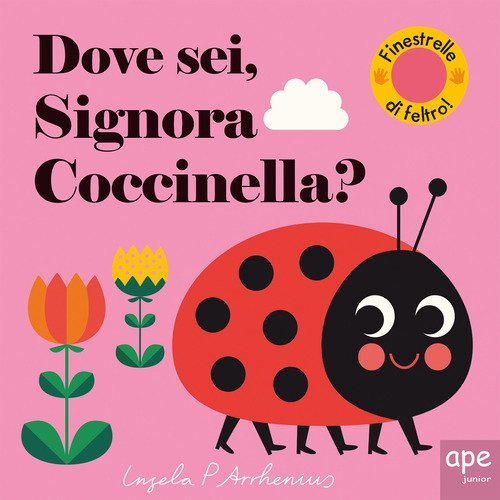 Dove sei, signora Coccinella?