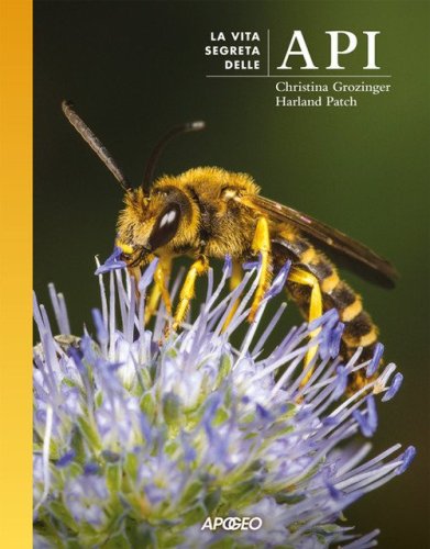 La vita segreta delle api