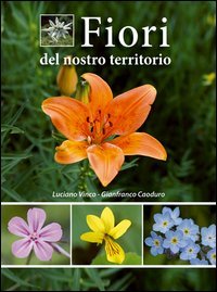 Fiori del nostro territorio