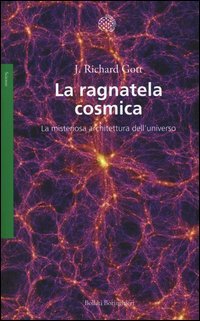 La ragnatela cosmica. La misteriosa architettura dell'universo